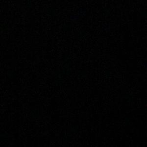 Meet your Posher, Shantel